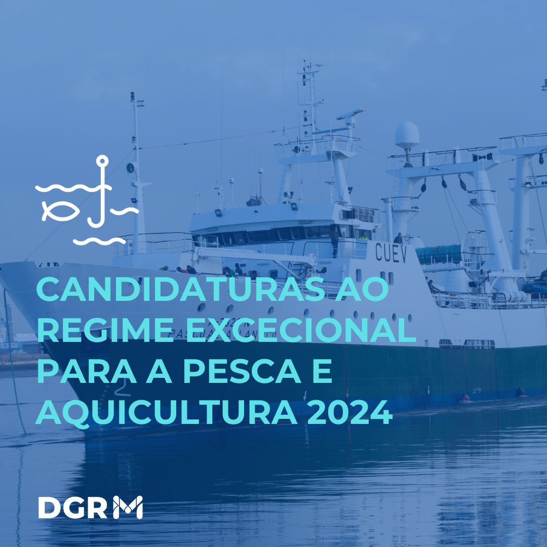  Candidaturas abertas ao regime excecional para a pesca e aquicultura 2024 
